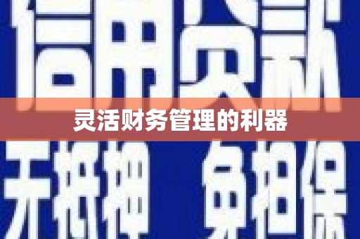 定海灵活财务管理的利器