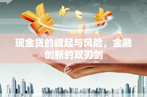 定海现金贷的崛起与风险，金融创新的双刃剑