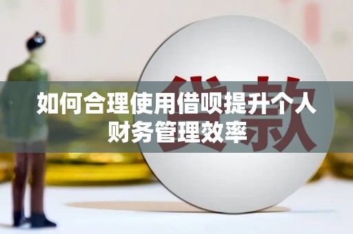 定海如何合理使用借呗提升个人财务管理效率