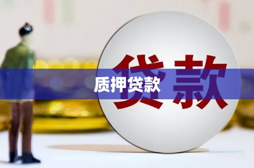 定海质押贷款