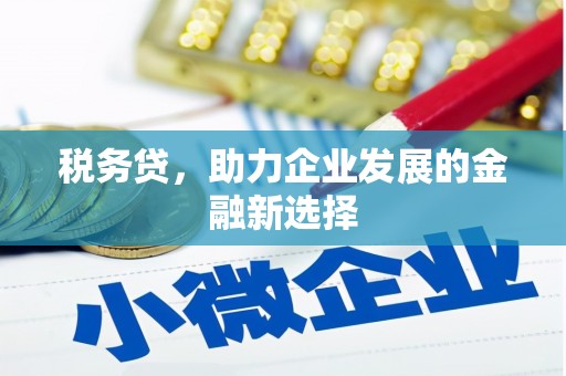 定海税务贷，助力企业发展的金融新选择
