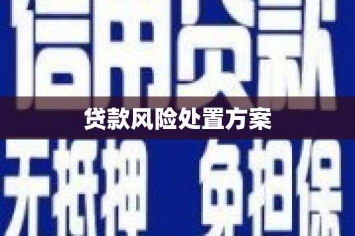 定海贷款风险处置方案