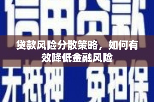 定海贷款风险分散策略，如何有效降低金融风险