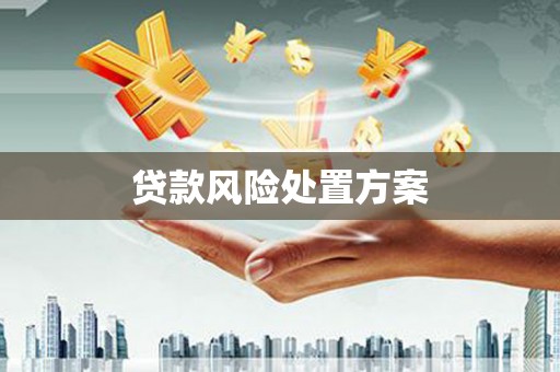 定海贷款风险处置方案