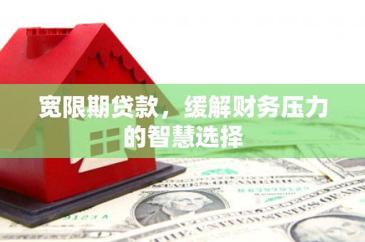 定海宽限期贷款，缓解财务压力的智慧选择