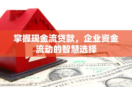 定海掌握现金流贷款，企业资金流动的智慧选择