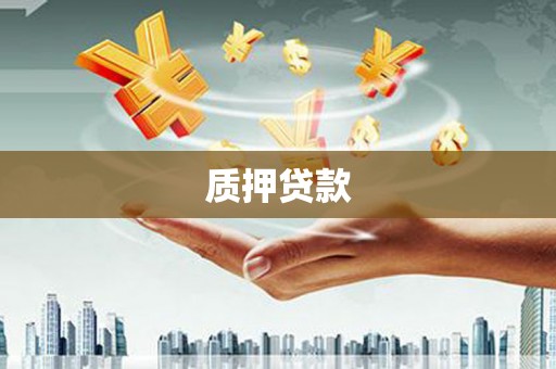 定海质押贷款