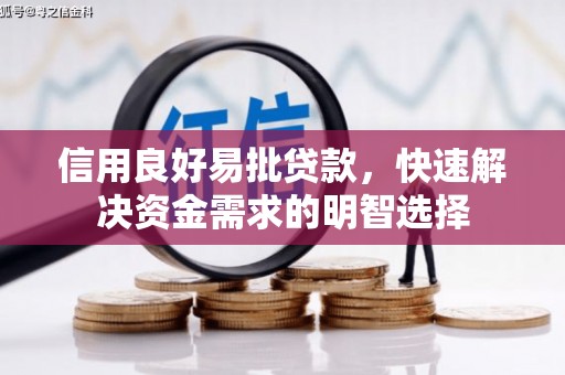 定海信用良好易批贷款，快速解决资金需求的明智选择