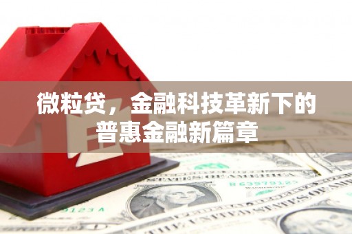定海微粒贷，金融科技革新下的普惠金融新篇章