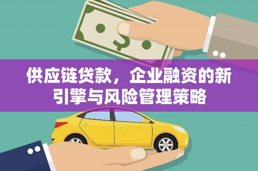 定海供应链贷款，企业融资的新引擎与风险管理策略