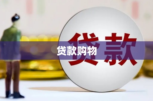 定海贷款购物