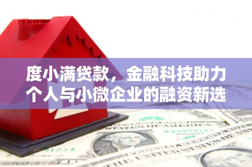 定海度小满贷款，金融科技助力个人与小微企业的融资新选择
