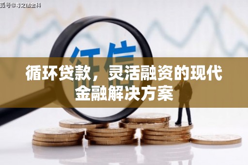 定海循环贷款，灵活融资的现代金融解决方案