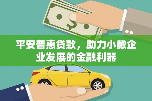 定海平安普惠贷款，助力小微企业发展的金融利器