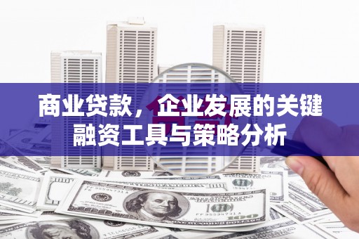 定海商业贷款，企业发展的关键融资工具与策略分析