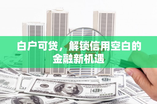 定海白户可贷，解锁信用空白的金融新机遇