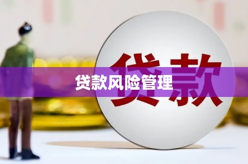 定海贷款风险管理