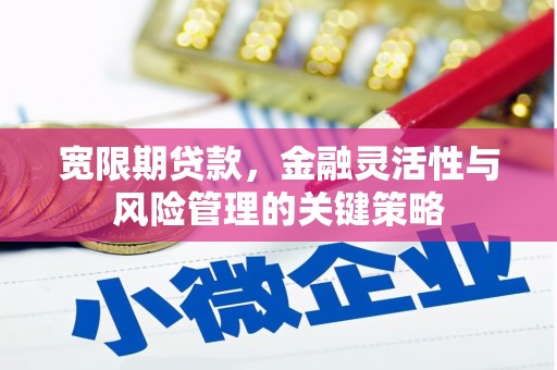 定海宽限期贷款，金融灵活性与风险管理的关键策略