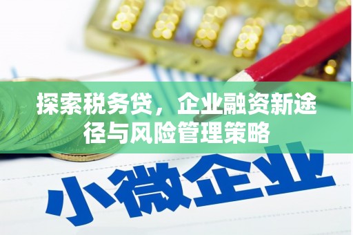 定海探索税务贷，企业融资新途径与风险管理策略