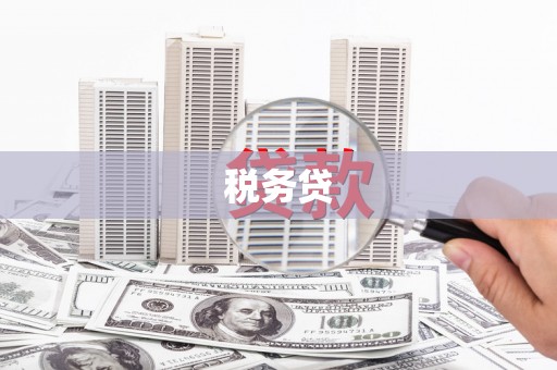 定海税务贷