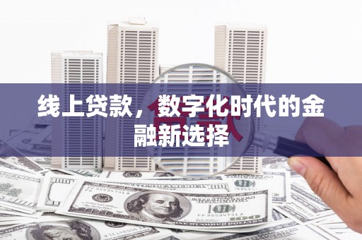定海线上贷款，数字化时代的金融新选择