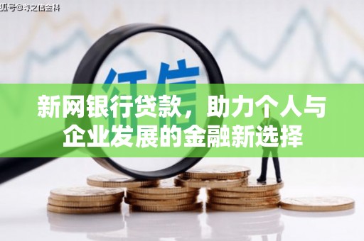 定海新网银行贷款，助力个人与企业发展的金融新选择