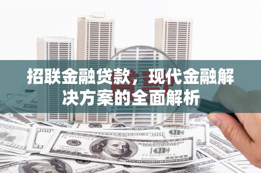 定海招联金融贷款，现代金融解决方案的全面解析