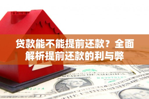 定海贷款能不能提前还款？全面解析提前还款的利与弊