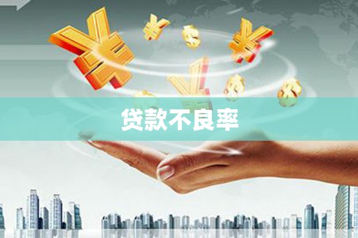 定海贷款不良率