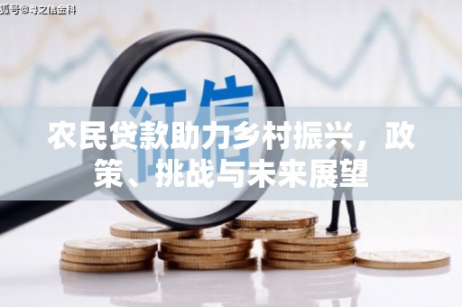 定海农民贷款助力乡村振兴，政策、挑战与未来展望