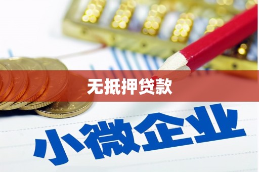 定海无抵押贷款