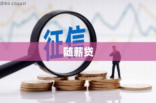 定海随薪贷
