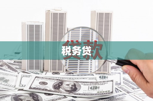 定海税务贷