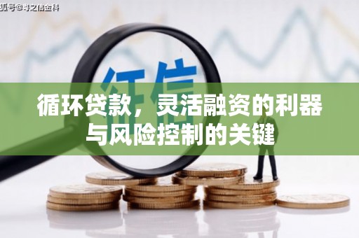 定海循环贷款，灵活融资的利器与风险控制的关键