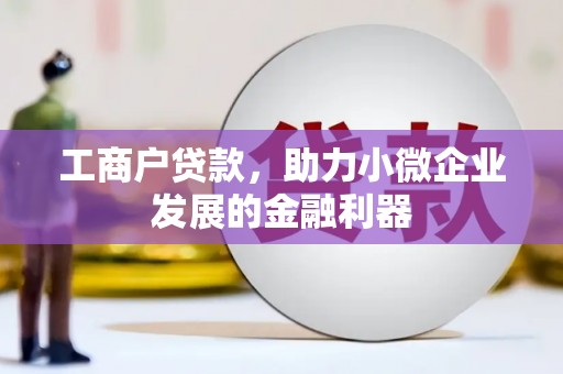 定海工商户贷款，助力小微企业发展的金融利器