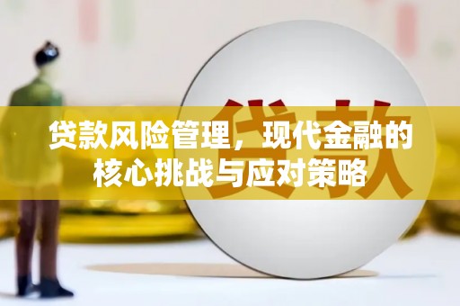 定海贷款风险管理，现代金融的核心挑战与应对策略