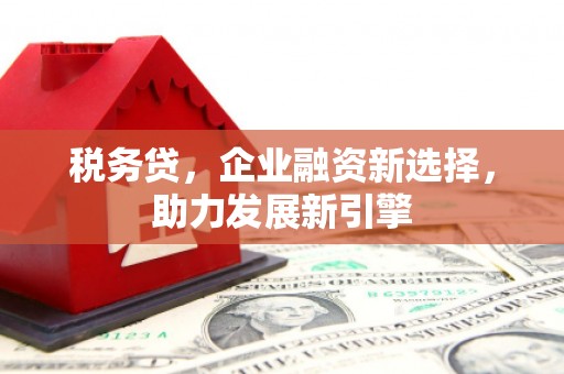 定海税务贷，企业融资新选择，助力发展新引擎