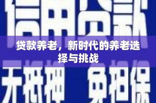 定海贷款养老，新时代的养老选择与挑战