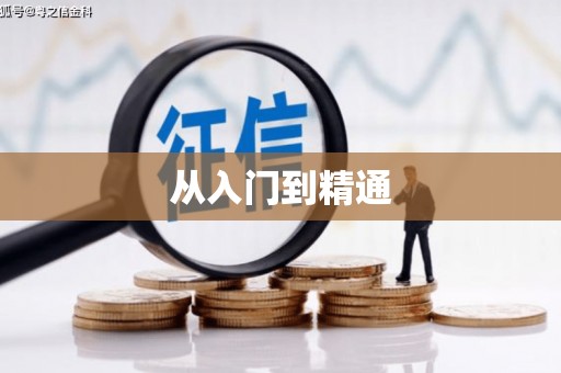 定海从入门到精通