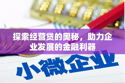 定海探索经营贷的奥秘，助力企业发展的金融利器