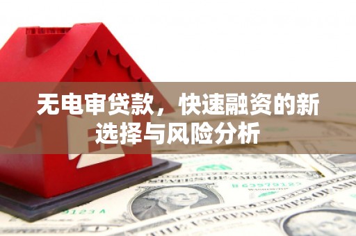 定海无电审贷款，快速融资的新选择与风险分析
