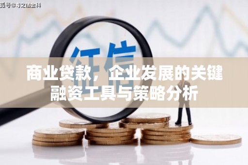 定海商业贷款，企业发展的关键融资工具与策略分析
