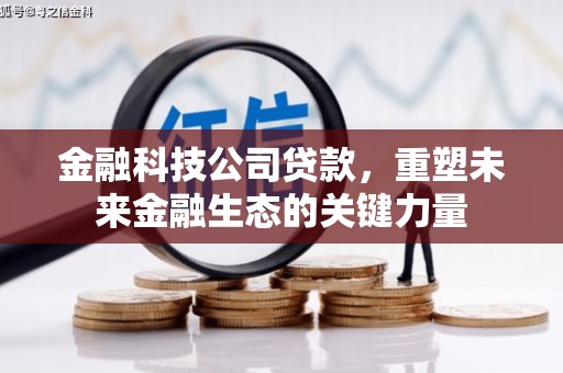 定海金融科技公司贷款，重塑未来金融生态的关键力量