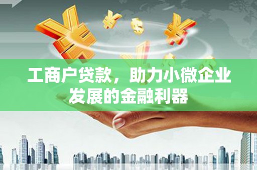 定海工商户贷款，助力小微企业发展的金融利器