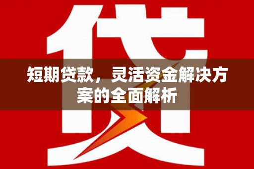 定海短期贷款，灵活资金解决方案的全面解析