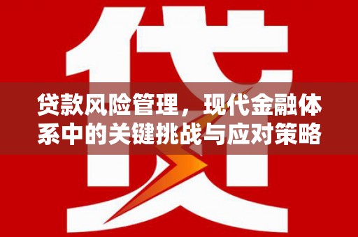 定海贷款风险管理，现代金融体系中的关键挑战与应对策略