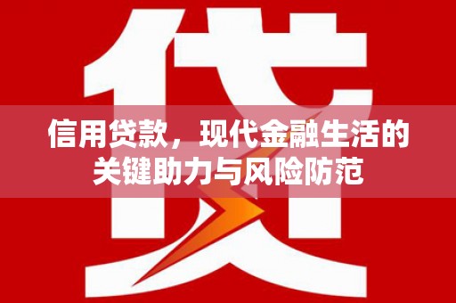 定海信用贷款，现代金融生活的关键助力与风险防范