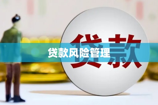 定海贷款风险管理