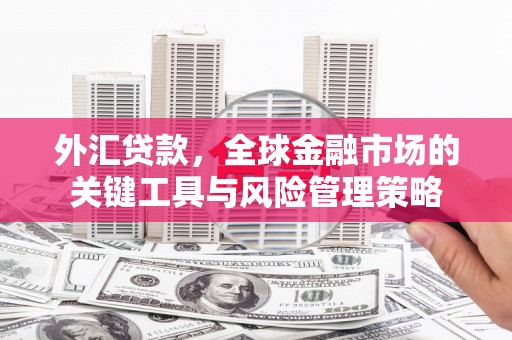 定海外汇贷款，全球金融市场的关键工具与风险管理策略