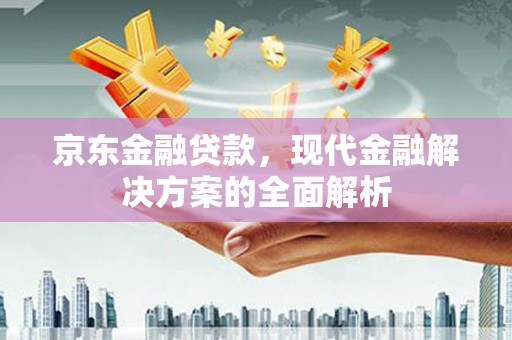 定海京东金融贷款，现代金融解决方案的全面解析